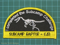 Click to enlarge CJ'13 Raptor Subcamp Challenge